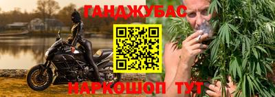 индика Братск