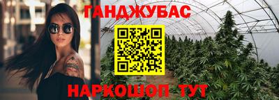 индика Братск
