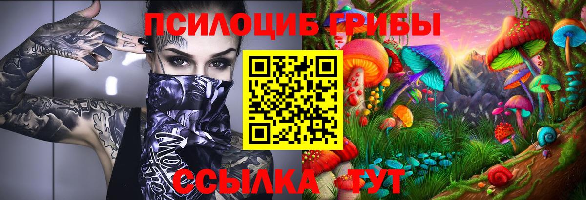 Дедовск  Галлюциногенные грибы Cubensis  Вход с VPN  Псилоцибиновые грибы прущие грибы 